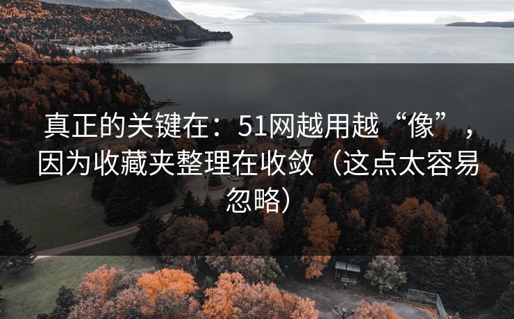 真正的关键在：51网越用越“像”，因为收藏夹整理在收敛（这点太容易忽略）