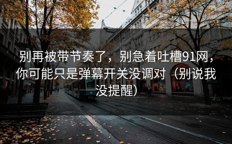 别再被带节奏了，别急着吐槽91网，你可能只是弹幕开关没调对（别说我没提醒）