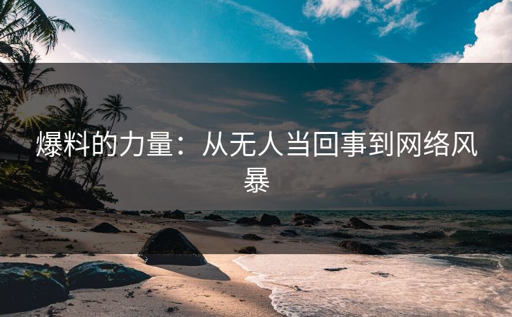 爆料的力量：从无人当回事到网络风暴