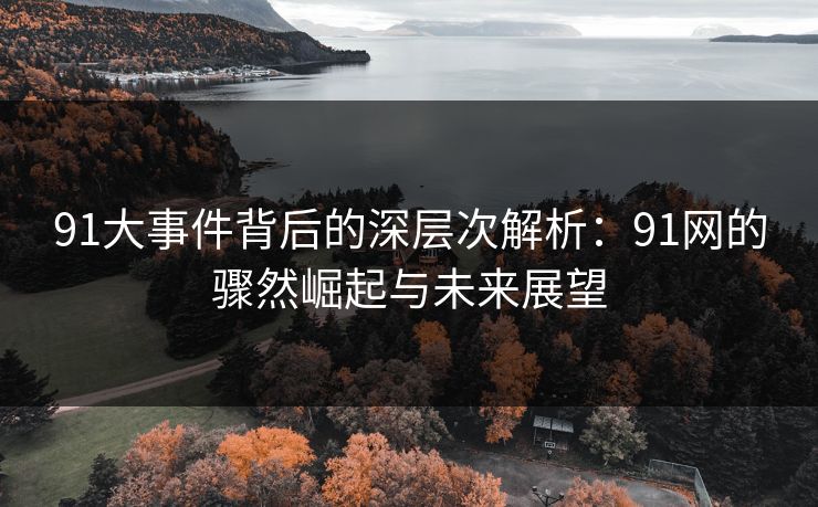 91大事件背后的深层次解析：91网的骤然崛起与未来展望