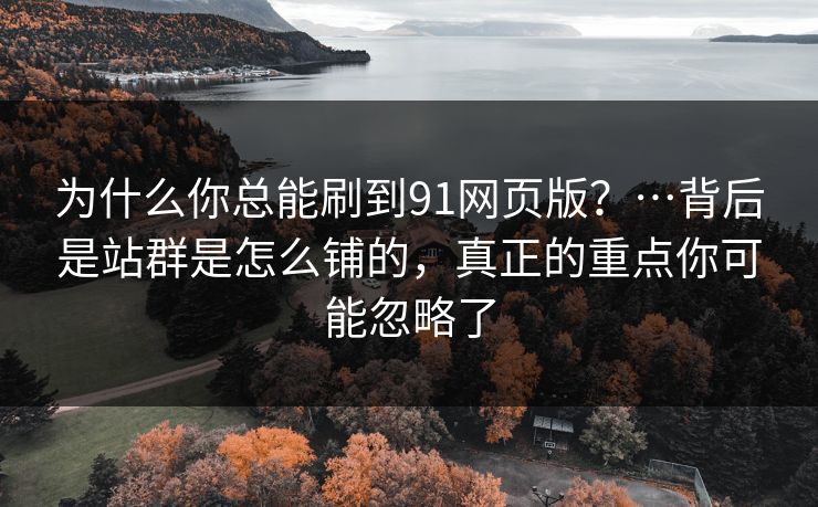 为什么你总能刷到91网页版？…背后是站群是怎么铺的，真正的重点你可能忽略了